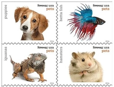 Forever Stamp - PETS